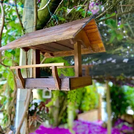6 - Apartamento De 02 Quartos Com Jacuzzi Em Bombas Bombinhas Exterior foto
